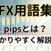 FXのpipsとは？